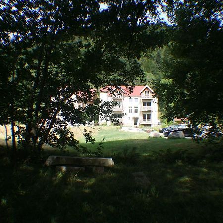 Residence Du Chateau Lublin La Bresse Εξωτερικό φωτογραφία