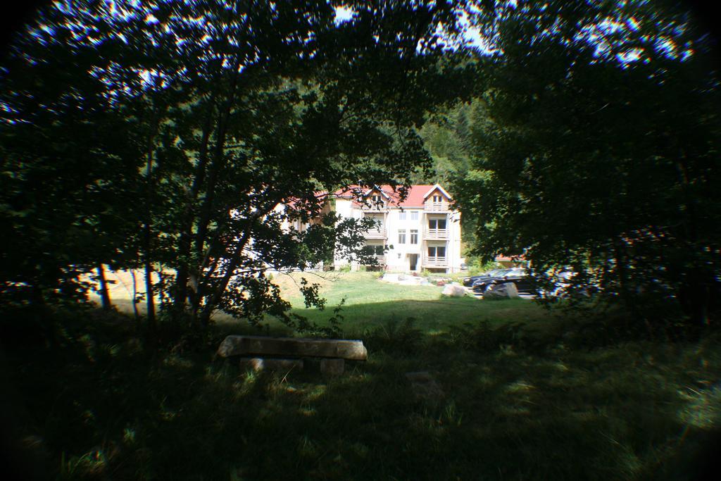Residence Du Chateau Lublin La Bresse Εξωτερικό φωτογραφία