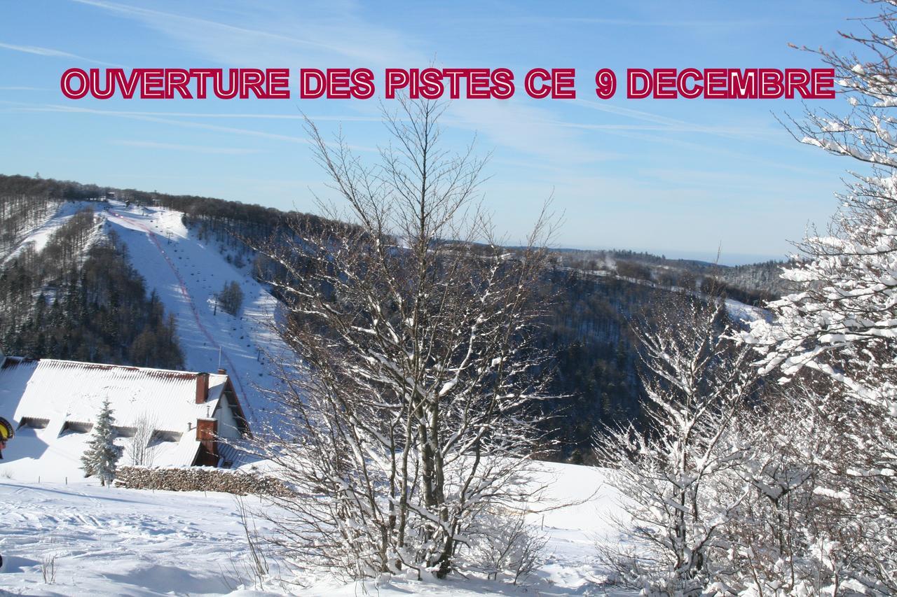 Residence Du Chateau Lublin La Bresse Εξωτερικό φωτογραφία